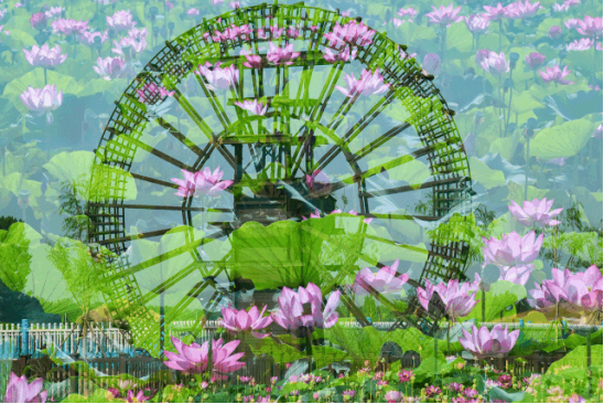 欧博·(allbet)官方网站