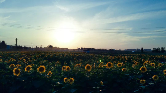 欧博·(allbet)官方网站