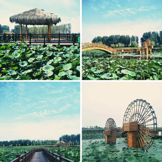 欧博·(allbet)官方网站