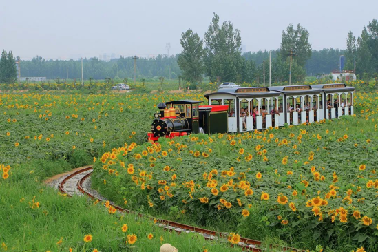 欧博·(allbet)官方网站