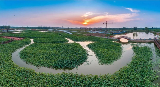 欧博·(allbet)官方网站