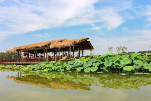 欧博·(allbet)官方网站