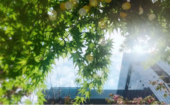 欧博·(allbet)官方网站