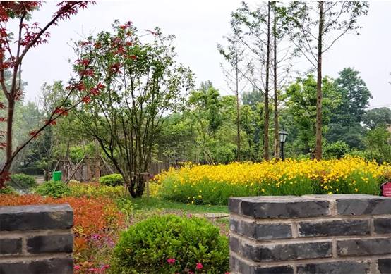 欧博·(allbet)官方网站