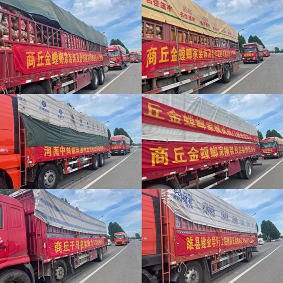 欧博·(allbet)官方网站