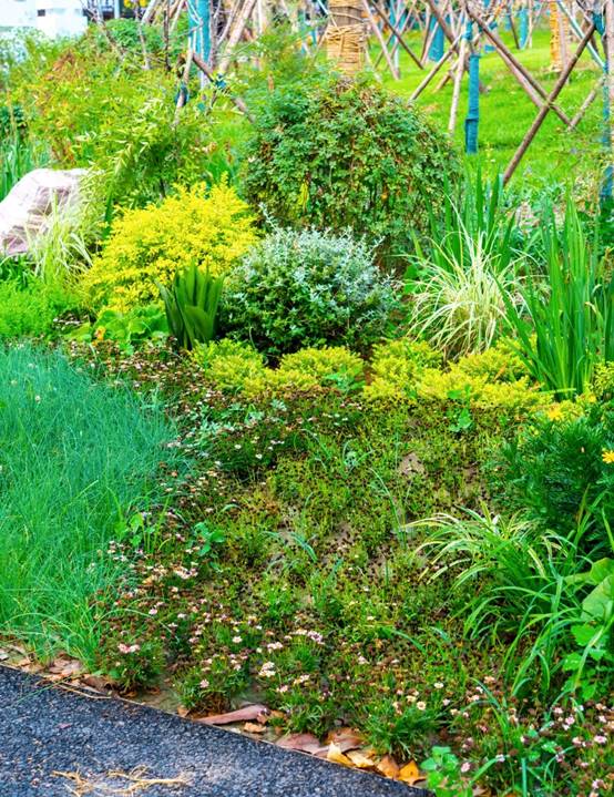 欧博·(allbet)官方网站