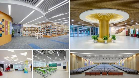 欧博·(allbet)官方网站